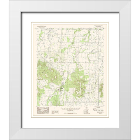 Buffalo Gap Texas Quad - USGS 1984 White Modern Wood Framed Art Print with Double Matting by USGS
