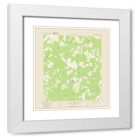 Blanket Springs Texas Quad - USGS 1979 White Modern Wood Framed Art Print with Double Matting by USGS