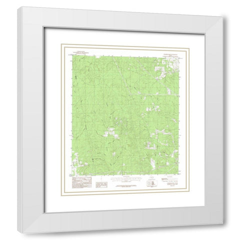 Chambliss Hill Teaxs Quad - USGS 1984 White Modern Wood Framed Art Print with Double Matting by USGS