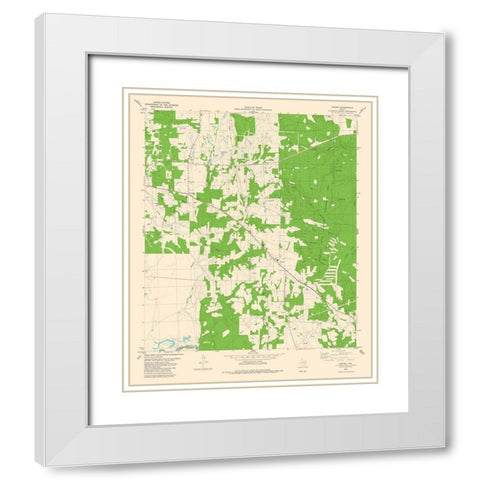 Cayuga Texas Quad - USGS 1982 White Modern Wood Framed Art Print with Double Matting by USGS