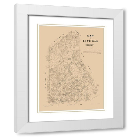 Live Oak County Texas - Walsh 1879 White Modern Wood Framed Art Print with Double Matting by Walsh