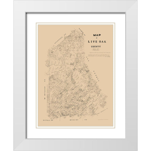 Live Oak County Texas - Walsh 1879 White Modern Wood Framed Art Print with Double Matting by Walsh