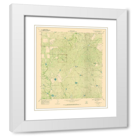 White Kitchen Texas Quad - USGS 1969 White Modern Wood Framed Art Print with Double Matting by USGS