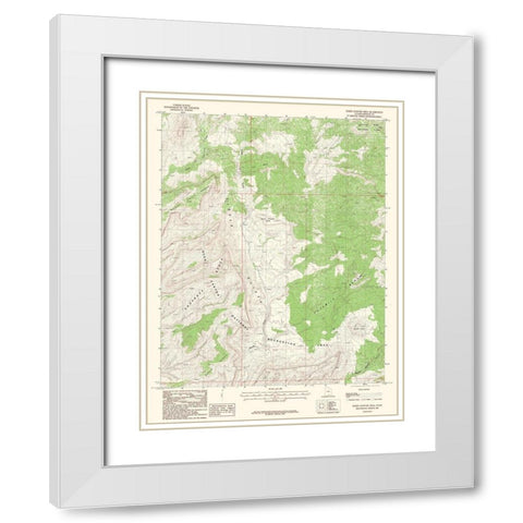 Horse Pasture Mesa Utah Quad - USGS 1987 White Modern Wood Framed Art Print with Double Matting by USGS