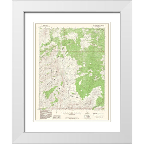 Horse Pasture Mesa Utah Quad - USGS 1987 White Modern Wood Framed Art Print with Double Matting by USGS