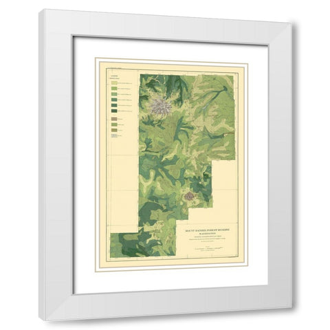 Mount Rainier Forest Washington 1899 White Modern Wood Framed Art Print with Double Matting by Bien