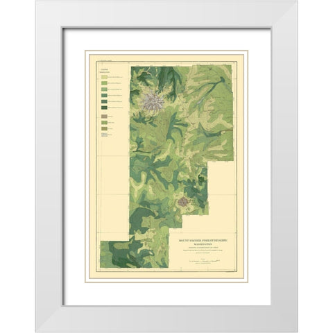 Mount Rainier Forest Washington 1899 White Modern Wood Framed Art Print with Double Matting by Bien