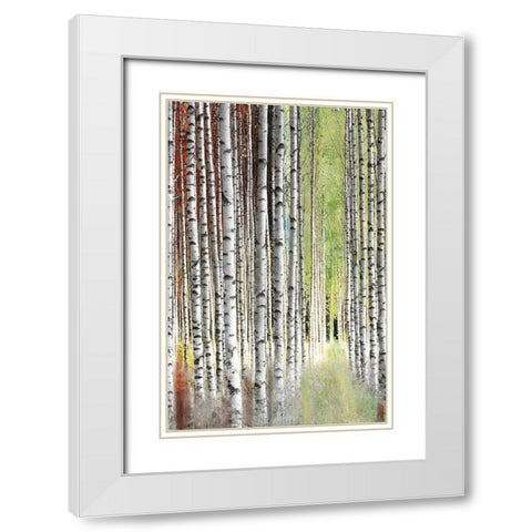 Abstract Birch II White Modern Wood Framed Art Print with Double Matting by Brey