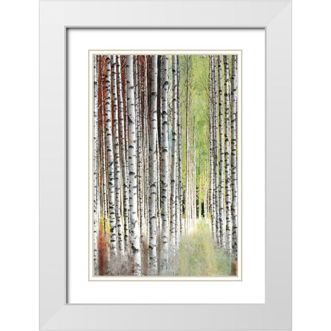 Abstract Birch II White Modern Wood Framed Art Print with Double Matting by Brey