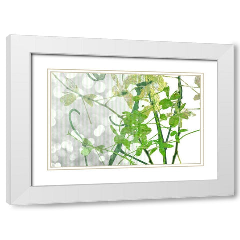 Branch In Green I White Modern Wood Framed Art Print with Double Matting by Franklin