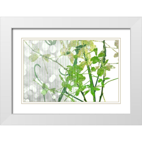 Branch In Green I White Modern Wood Framed Art Print with Double Matting by Franklin