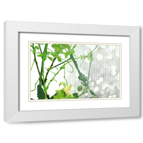 Branch In Green II White Modern Wood Framed Art Print with Double Matting by Franklin
