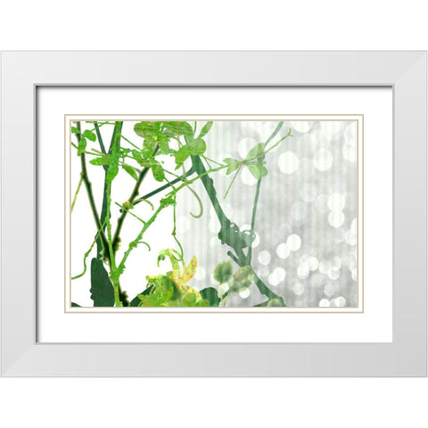 Branch In Green II White Modern Wood Framed Art Print with Double Matting by Franklin