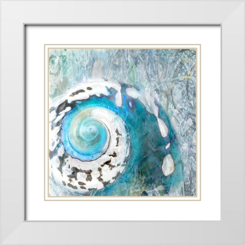 Abstract Shell White Modern Wood Framed Art Print with Double Matting by Franklin