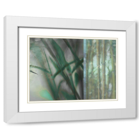 Morning Bamboo I White Modern Wood Framed Art Print with Double Matting by Franklin