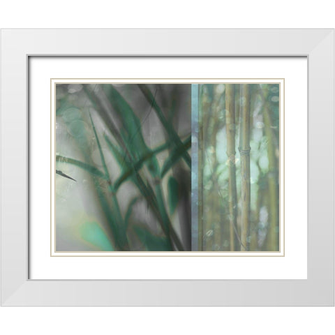 Morning Bamboo I White Modern Wood Framed Art Print with Double Matting by Franklin