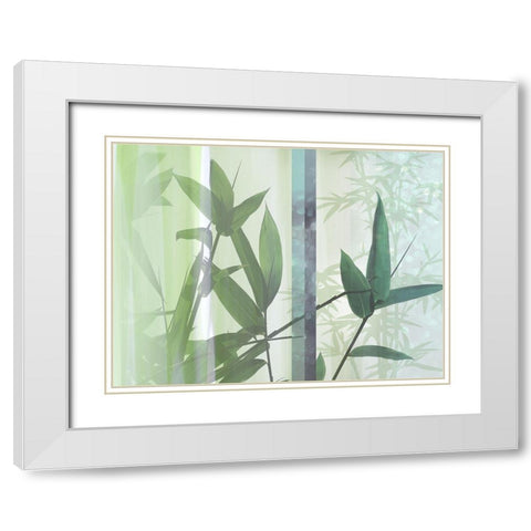 Morning Bamboo II White Modern Wood Framed Art Print with Double Matting by Franklin