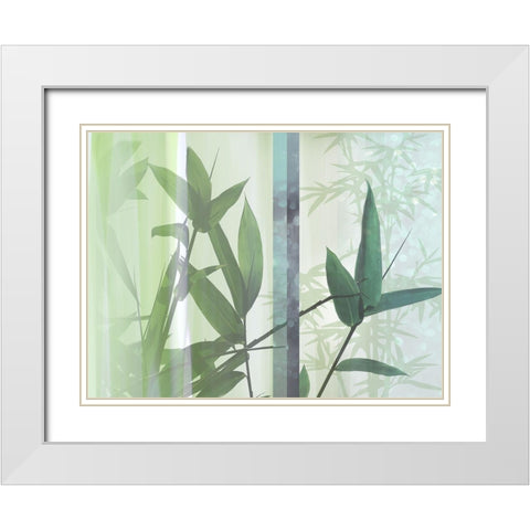 Morning Bamboo II White Modern Wood Framed Art Print with Double Matting by Franklin