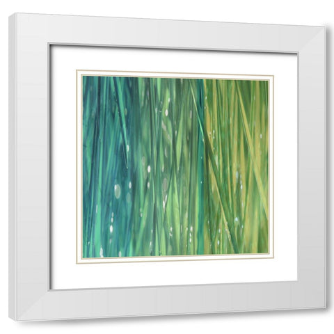 Natural Dance I White Modern Wood Framed Art Print with Double Matting by Franklin