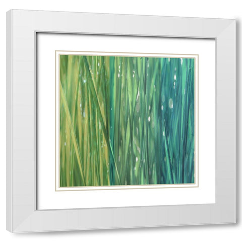 Natural Dance II White Modern Wood Framed Art Print with Double Matting by Franklin