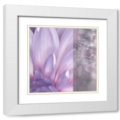 Purple Mist White Modern Wood Framed Art Print with Double Matting by Franklin