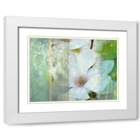 Magnolia Mist White Modern Wood Framed Art Print with Double Matting by Franklin