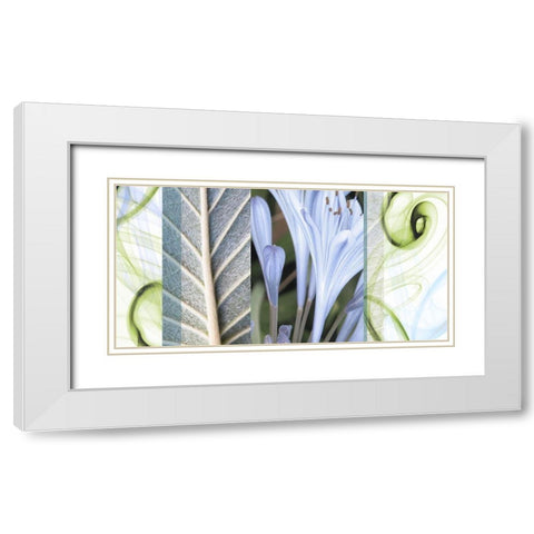 Dreamy White Modern Wood Framed Art Print with Double Matting by Franklin