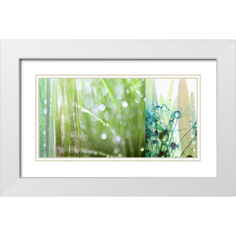 Morning Dew White Modern Wood Framed Art Print with Double Matting by Franklin