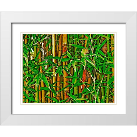 Bamboo in HD I White Modern Wood Framed Art Print with Double Matting by Simons