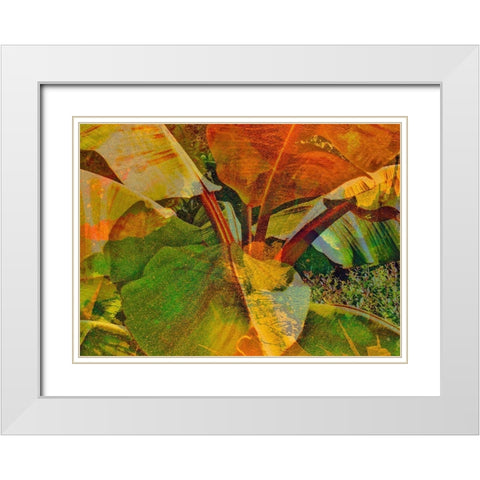 Banana I White Modern Wood Framed Art Print with Double Matting by Simons