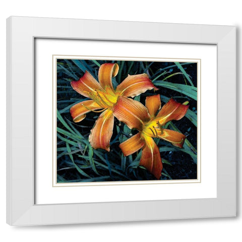 Celebration White Modern Wood Framed Art Print with Double Matting by Simons
