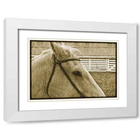 Composure White Modern Wood Framed Art Print with Double Matting by Simons