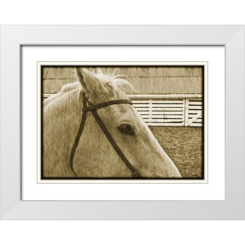 Composure White Modern Wood Framed Art Print with Double Matting by Simons