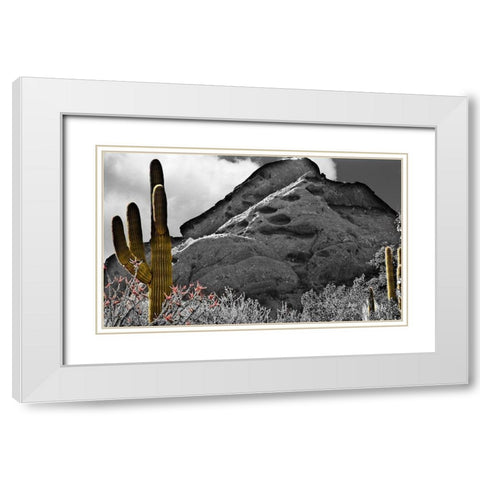 Desert View White Modern Wood Framed Art Print with Double Matting by Simons