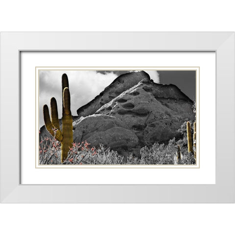 Desert View White Modern Wood Framed Art Print with Double Matting by Simons