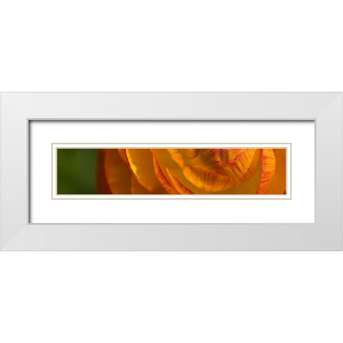 Flower Slice Orange II White Modern Wood Framed Art Print with Double Matting by Simons