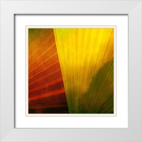 Fondly I White Modern Wood Framed Art Print with Double Matting by Simons