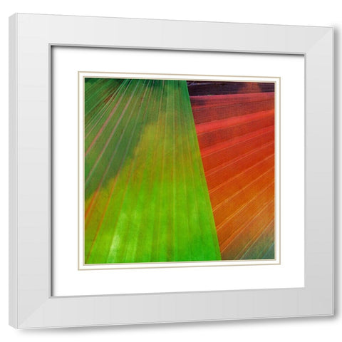 Fondly II White Modern Wood Framed Art Print with Double Matting by Simons