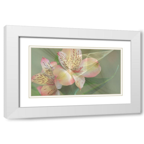 Illusion in Yellow White Modern Wood Framed Art Print with Double Matting by Simons