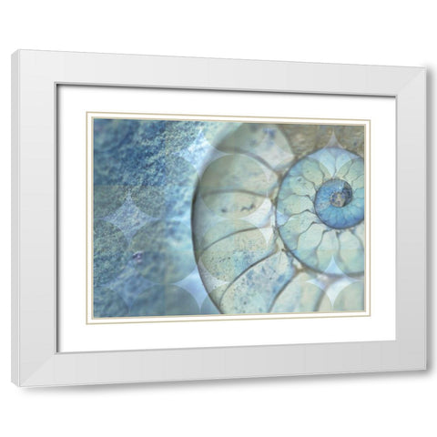 La Conha I White Modern Wood Framed Art Print with Double Matting by Simons