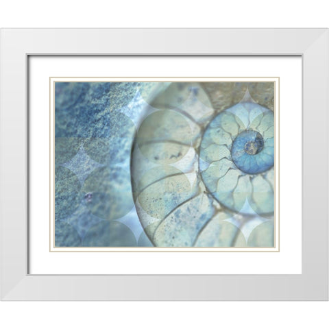La Conha I White Modern Wood Framed Art Print with Double Matting by Simons