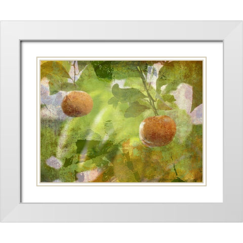 Mandarin White Modern Wood Framed Art Print with Double Matting by Simons