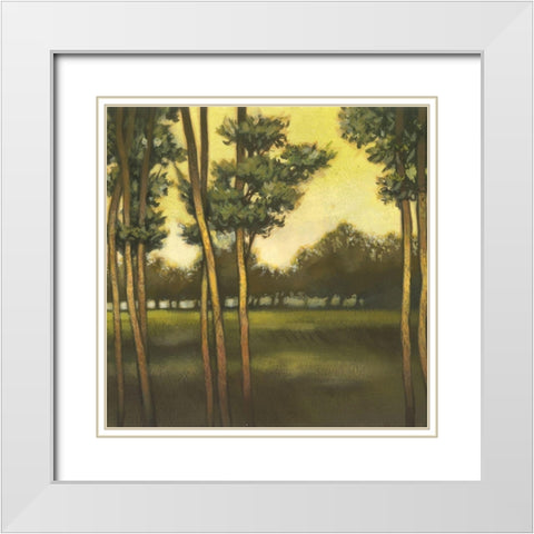 Through the Trees II White Modern Wood Framed Art Print with Double Matting by Larson