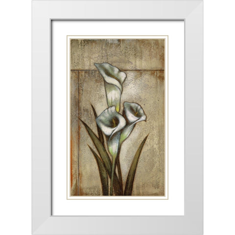 Unexpected Beauty II White Modern Wood Framed Art Print with Double Matting by Scott