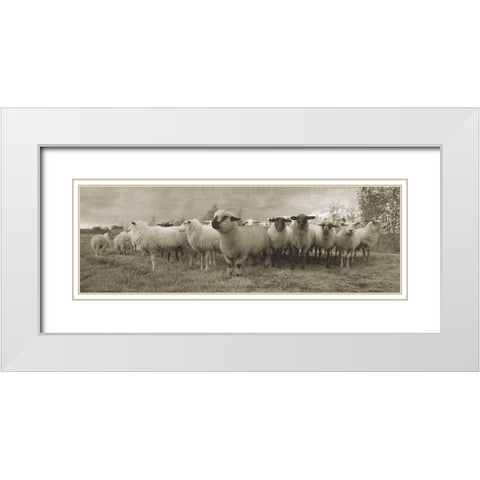 Pasture Graze 2 White Modern Wood Framed Art Print with Double Matting by Phillip, Jamie