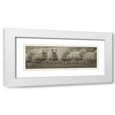 Pasture Graze  White Modern Wood Framed Art Print with Double Matting by Phillip, Jamie