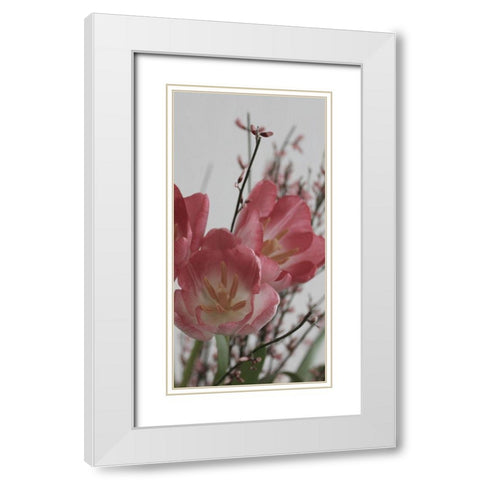 Planet tulip White Modern Wood Framed Art Print with Double Matting by Phillip, Jamie