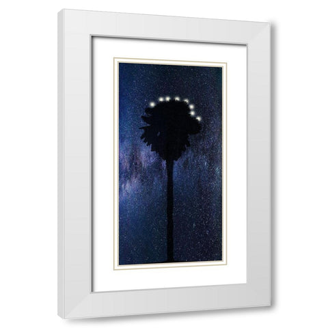 Night Star White Modern Wood Framed Art Print with Double Matting by Phillip, Jamie