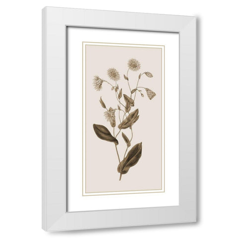 Toned Botanical White Modern Wood Framed Art Print with Double Matting by Phillip, Jamie