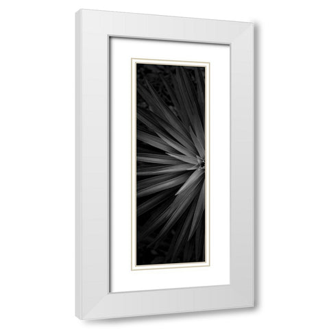 Lush 1 White Modern Wood Framed Art Print with Double Matting by Phillip, Jamie